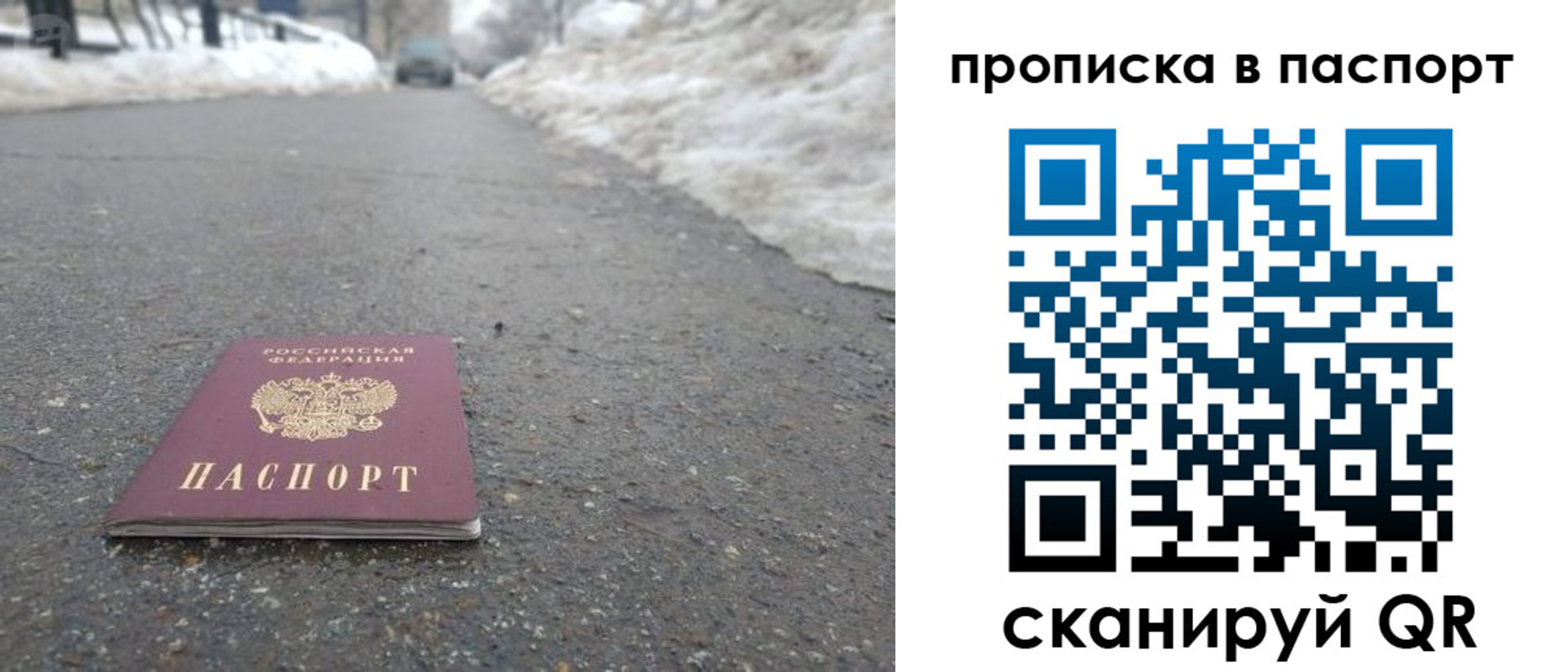 пропишу в квартире в Бабаево
